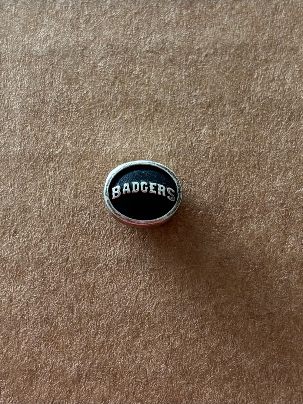 Wisconsin Badger Charm